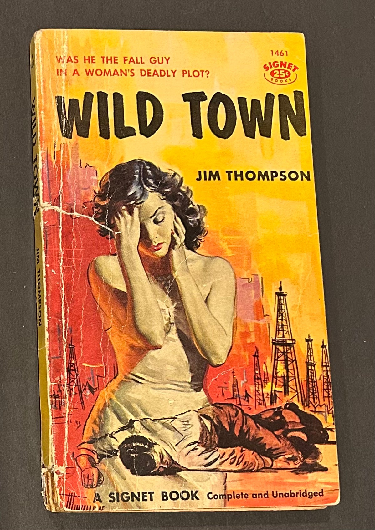 Wild Town