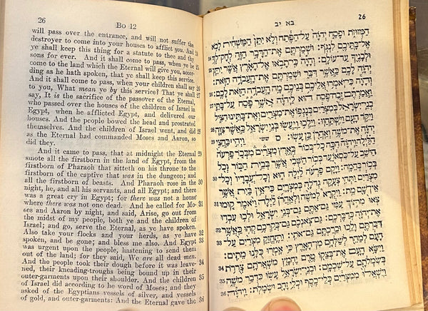 The Hebrew Bible with English Translation, The Five Books of Moses, Genesis and Haftorahs