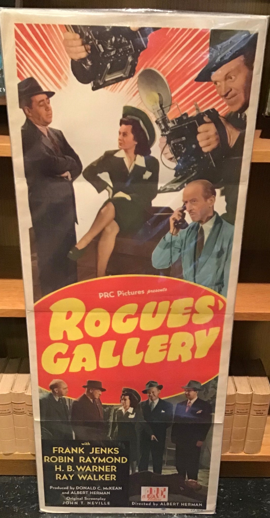 Rogue's Gallery (movie poster)